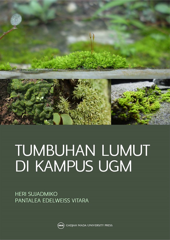 Tumbuhan Lumut di Kampus UGM