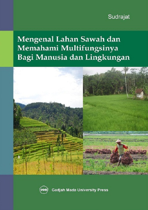Mengenal Lahan Sawah Dan Memahami Multifungsinya Bagi Manusia Dan Lingkungan
