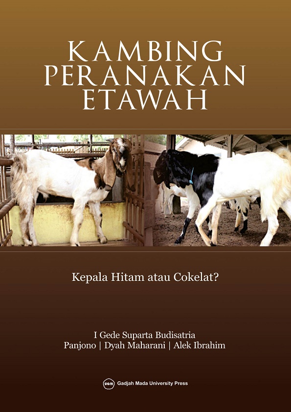 Kambing Peranakan Etawah: Kepala Hitam atau Cokelat